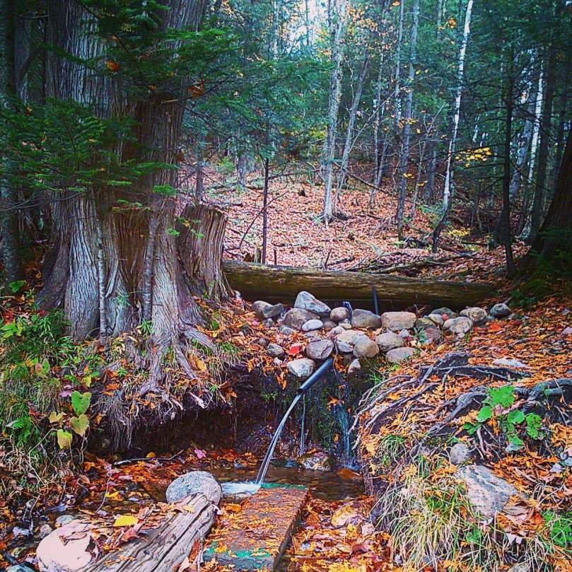 FB_IMG_1438443586733