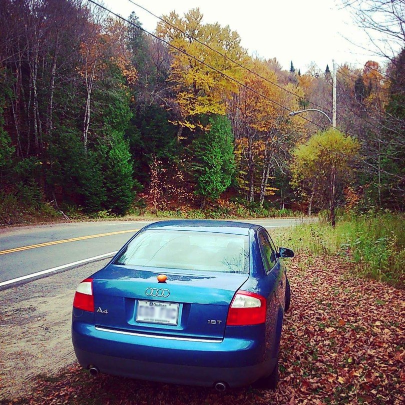 FB_IMG_1438443613053b