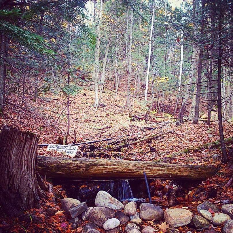 FB_IMG_1438443623182